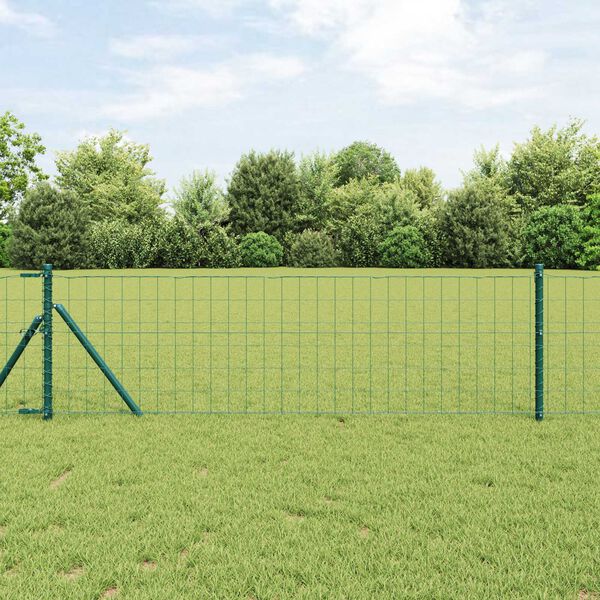 vidaXL Clôture Euro Vert 0.8 x 25 m Fer revêtu de PVC
