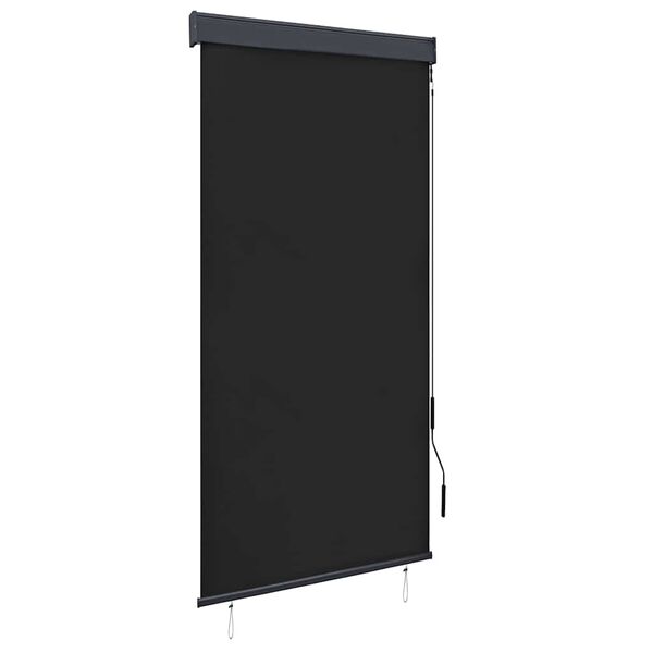vidaXL Store roulant d'ext&eacute;rieur 100 x 250 cm Anthracite