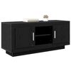 vidaXL Meuble TV Ch&ecirc;ne noir 102 x 35 x 45 cm Bois d'ing&eacute;nierie