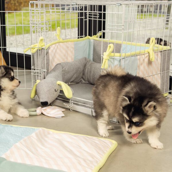 425590 Beeztees Dog Crate 62x44x49 cm Grey