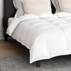 vidaXL Ensemble de Duvet avec oreiller 3 pcs Blanc Plume de canard