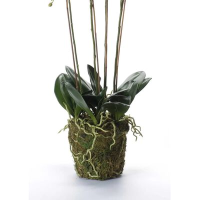Emerald Phalaenopsis artificiel avec mousse Blanc 90 cm 20.355