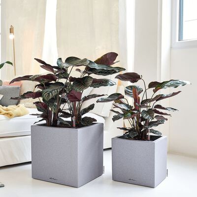 LECHUZA Jardinière CANTO Stone 30 Low ALL-IN-ONE Gris pierre