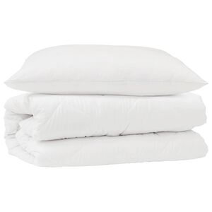 vidaXL Ensemble de Duvet avec oreiller 2 pcs Blanc Microfibre
