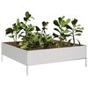 vidaXL Lit sur&eacute;lev&eacute; de jardin 100x100x33,5 cm acier inoxydable