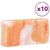 vidaXL Pierre de Sel 10 pcs Rose 20 x 5 x 10 cm Sel de Roche