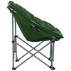 vidaXL Chaises lune pliables lot de 2 Vert