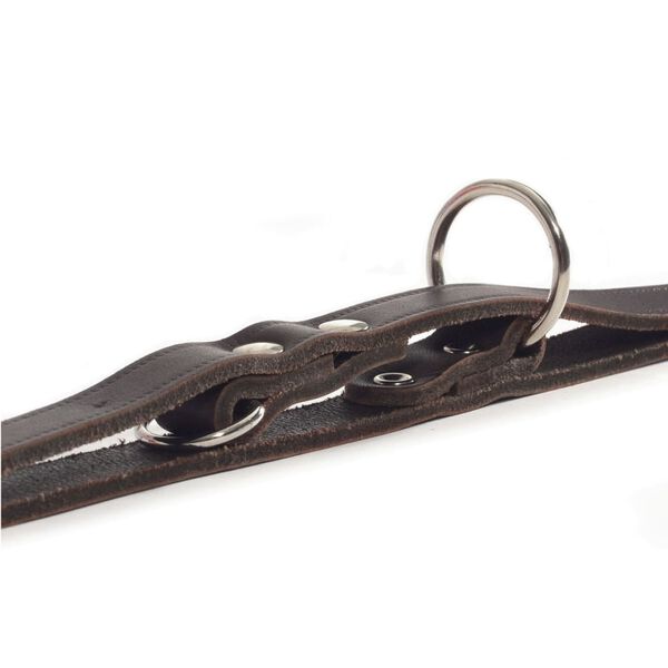 Beeztees Laisse de dressage Cuir Marron 200x1,2 cm 736401