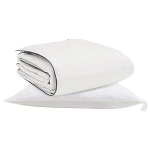 vidaXL Duvet d'hiver avec oreiller 2 pcs Blanc Plume de canard