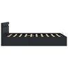 vidaXL Cadre de lit &agrave; rangement hydraulique sans matelas avec LED noir