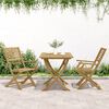 vidaXL Chaises pliables de jardin lot de 2 bois massif d'acacia