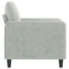 vidaXL Fauteuil Gris clair 60 cm Velours