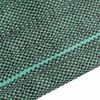 vidaXL Membrane anti-mauvaises herbes vert 2x100 m PP