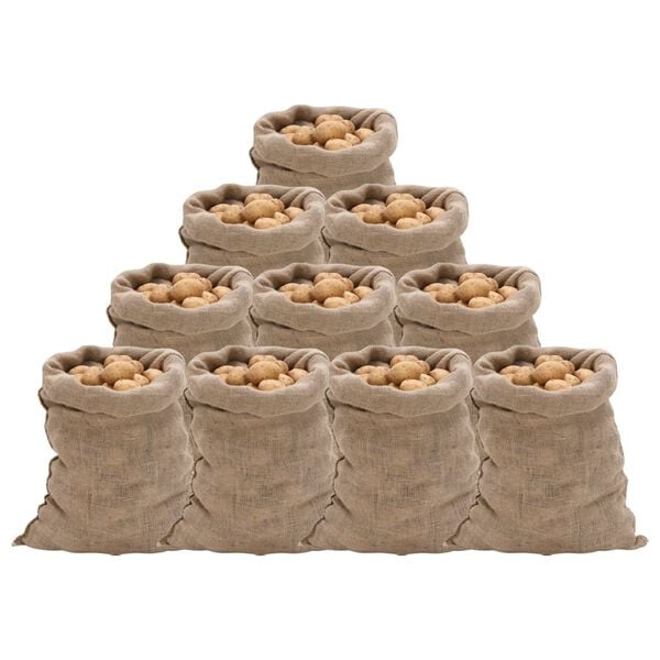 vidaXL Sacs en jute 10 pcs 60x105 cm 100 % jute 220 g/m&sup2;
