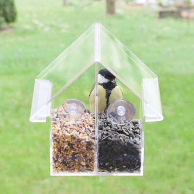 Mangeoire à oiseaux, mangeoire à oiseaux en plein air avec fenêtre  transparente avec