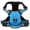 vidaXL Harnais pour chien et bandes r&eacute;fl&eacute;chissantes r&eacute;glables bleu XL