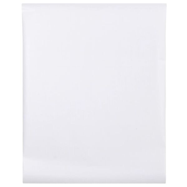 vidaXL Film pour fen&ecirc;tre d&eacute;poli blanc 45x500cm PVC