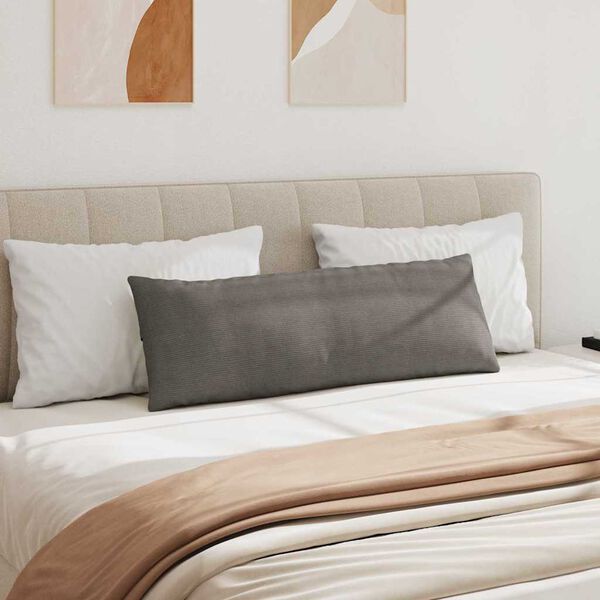 vidaXL Coussins de canapé 2 pcs Gris clair 120 x 40 cm