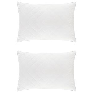 vidaXL Oreiller FULDA 2 pc 40 x 60 cm 100% duvet d'oie et plumes Blanc