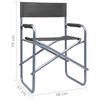 vidaXL Chaises de metteur en sc&egrave;ne lot de 2 Acier Gris