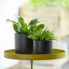 Esschert Design Plateau pour plantes avec pince Rond Doré L