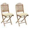 vidaXL Chaises pliantes (lot de 2) avec coussins en bambou