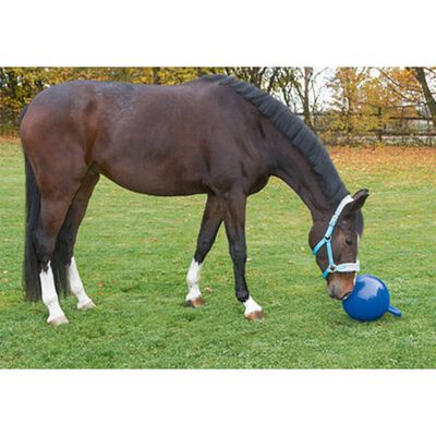 Kerbl Balle de jeu pour chevaux Bleu 25 cm 32399