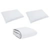 vidaXL Duvet d'hiver avec oreiller 3 pcs Blanc Plume de canard