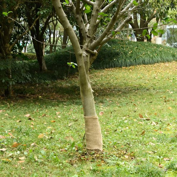 vidaXL Rouleau de jute 0,25x100 m 100 % jute 200 g/m²