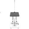 Table Toilettage Ajustable Hydraulique pour Chiens Chats Animaux