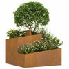 vidaXL Cache-pot de jardin Marron 60 x 60 x 50 cm Acier patin&eacute;