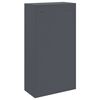vidaXL Bo&icirc;te de d&eacute;p&ocirc;t de colis Anthracite 44 x 22 x 82 cm Acier