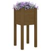 vidaXL Jardinières d'extérieur 2 pcs Marron miel 31x31x70cm Pin massif