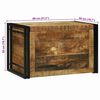 vidaXL Boîte de Rangement 80 x 50 x 50 cm Bois de mangue brut et métal