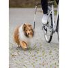 TRIXIE Ensemble de laisse de v&eacute;lo pour chien Noir 1287