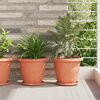 vidaXL Pots de plantes 6 pcs Rouge brique &Oslash; 26 x 21.5 cm Plastique