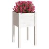 vidaXL Jardinières d'extérieur 2 pcs Blanc 40x40x70 cm Bois de pin