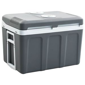 vidaXL Glacière portable thermoélectrique 40 L 12 V 230 V E