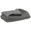 vidaXL Duvet d'&eacute;t&eacute; simple Matelass&eacute; Gris clair 155 x 200 cm Microfibre