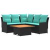 Black_and_turquoise
