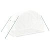 vidaXL Serre avec cadre en acier blanc 6 m² 3x2x2 m