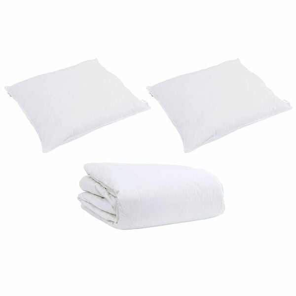 vidaXL Ensemble de Duvet avec oreiller 3 pcs Blanc Plume de canard