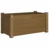 vidaXL Jardinières d'extérieur 2pcs Marron miel 60x31x31cm Bois de pin