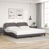 vidaXL Cadre de lit avec LED sans matelas Zadar gris 200x200 cm