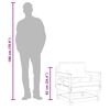vidaXL Chaises de jardin avec coussins lot de 2 bois de pin imprégné