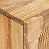 vidaXL Buffet avec porte Marron 80 x 33 x 75 cm Bois de mangue massif