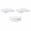 vidaXL Couette avec Oreillers 3 pcs Blanc Microfibre et Plumes D'oie