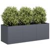 vidaXL Jardini&egrave;re Anthracite 120x40x40 cm Acier lamin&eacute; &agrave; froid