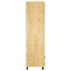 vidaXL Armoire avec &eacute;tag&egrave;re Miel 66 x 58 x 207 cm Pin massif