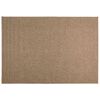 vidaXL Tapis d'int&eacute;rieur et d'ext&eacute;rieur AGIRA Naturel 280 x 200 cm